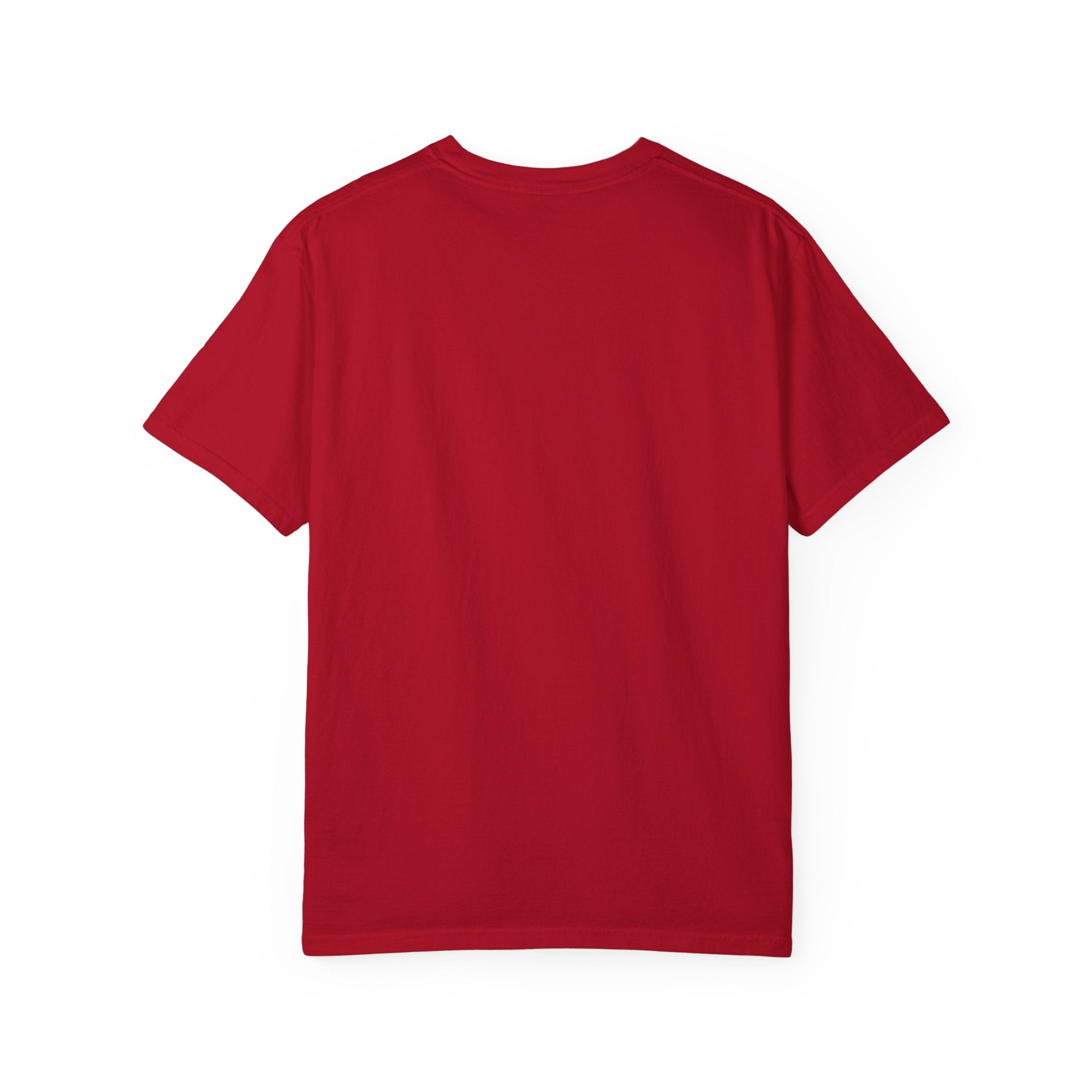 nyanBOX - Hacker Cat - T-shirt