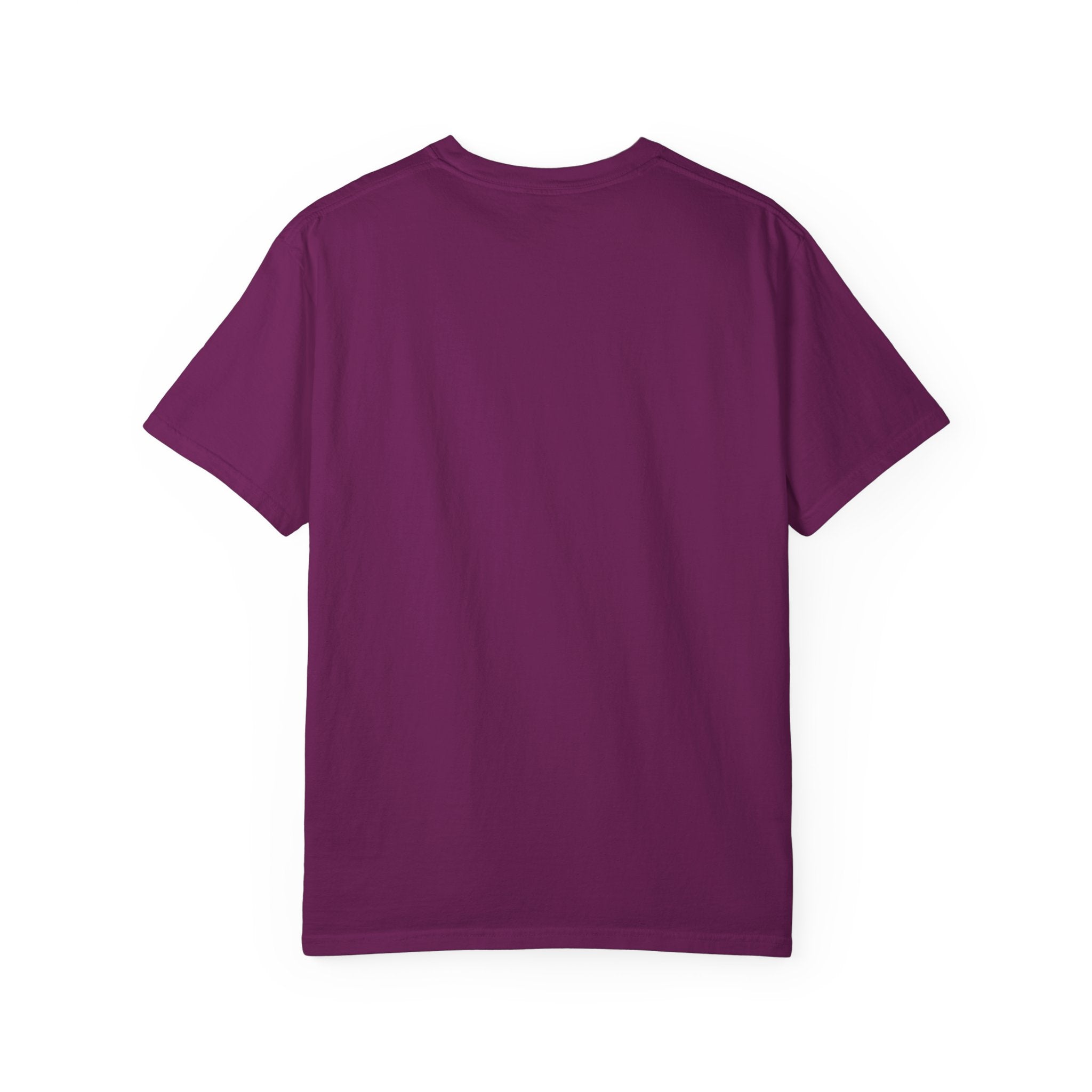 Nyan Devices - Hacker Cat - T-shirt