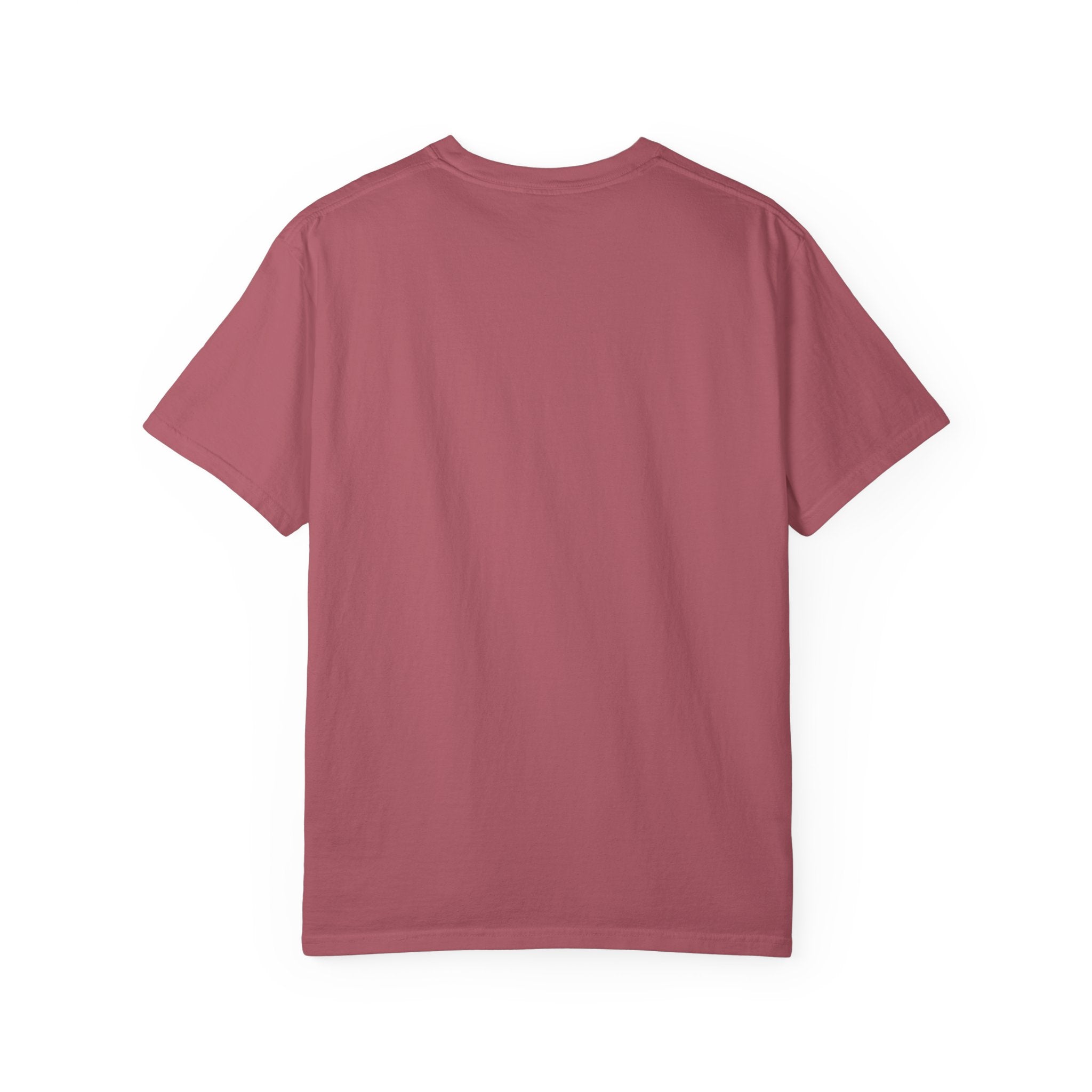 Nyan Devices - Hacker Cat - T-shirt