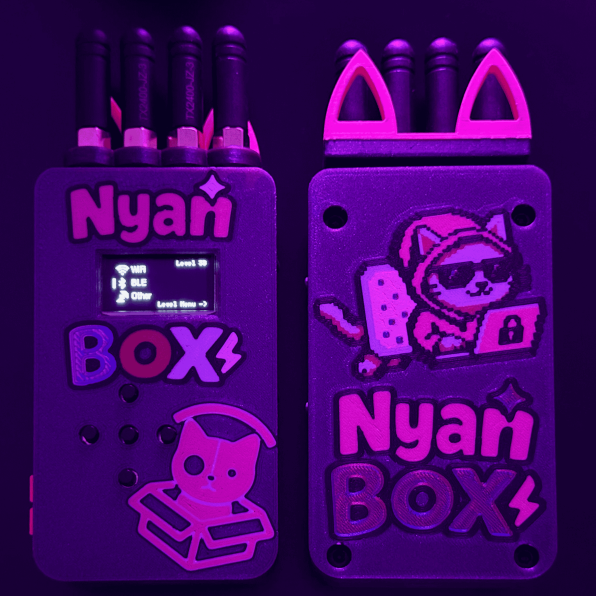 nyanBOX Display Image